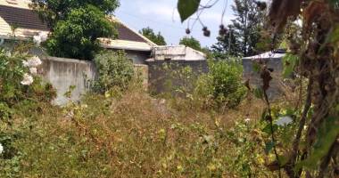 terrain tout a l'egout de 255 m2