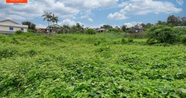 a vendre- le tampon- terrain de  572m2