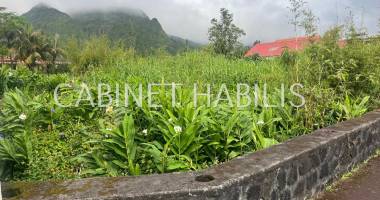 a vendre - terrain de 509 m2 environ - plaine des palmistes - 122 600 €