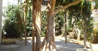 a louer villa f5 avec piscine sur le bas de la possession