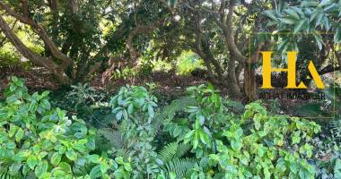 saint joseph terrain 680m² quartier les lianes , carrosse