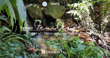 terrain - gourbeyre