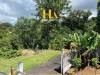 miniature