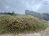 miniature