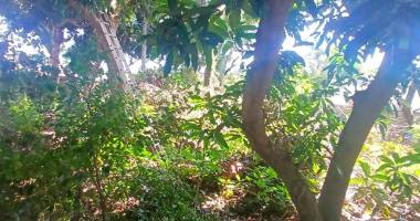 a vendre terrain constructible de 445m2 a saint-gilles les hauts
