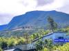 miniature
