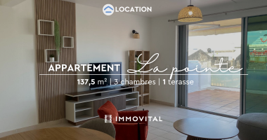 terrasse sur les toits de pointe-a-pitre - duplex t4 meuble 3 chambres, 137 m2