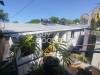 miniature