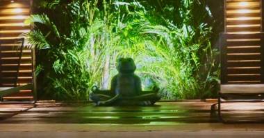 f4 zen de 133 m2 de 2022 meublee, piscine, carpot, atelier 2 citernes sur 490 m2 clos